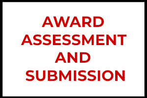 AWARD ASSESSMENT AND SUBMISSION 2